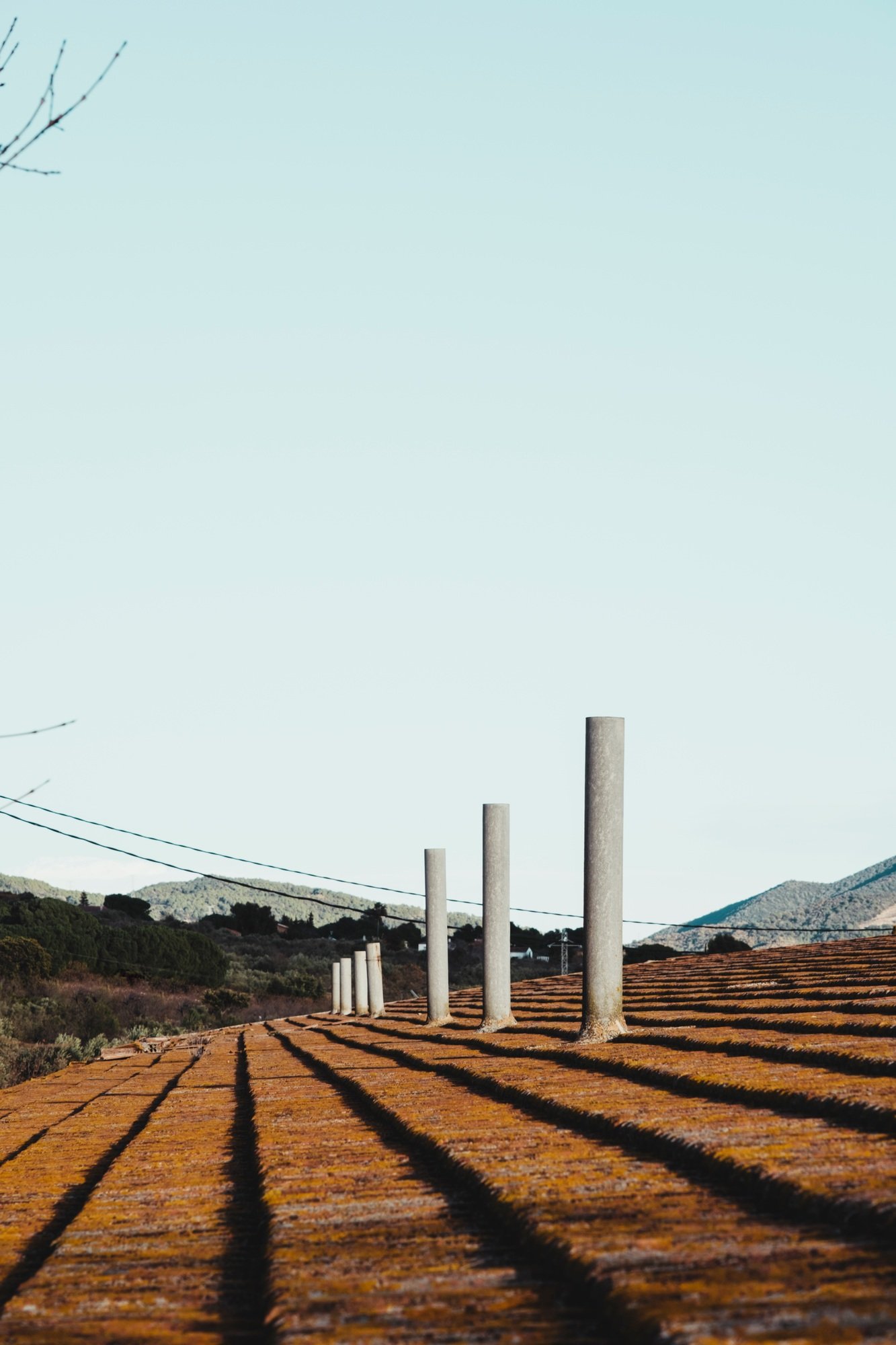 Old roof with moss with chimneys in line